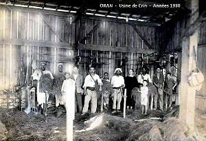 1718- Oran- Usine de crin - Annees 30
